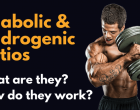 What are the Anabolic & Androgenic ratios in Steroids?