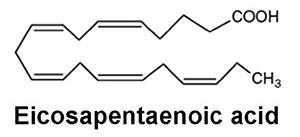 Omega 3 Molecule